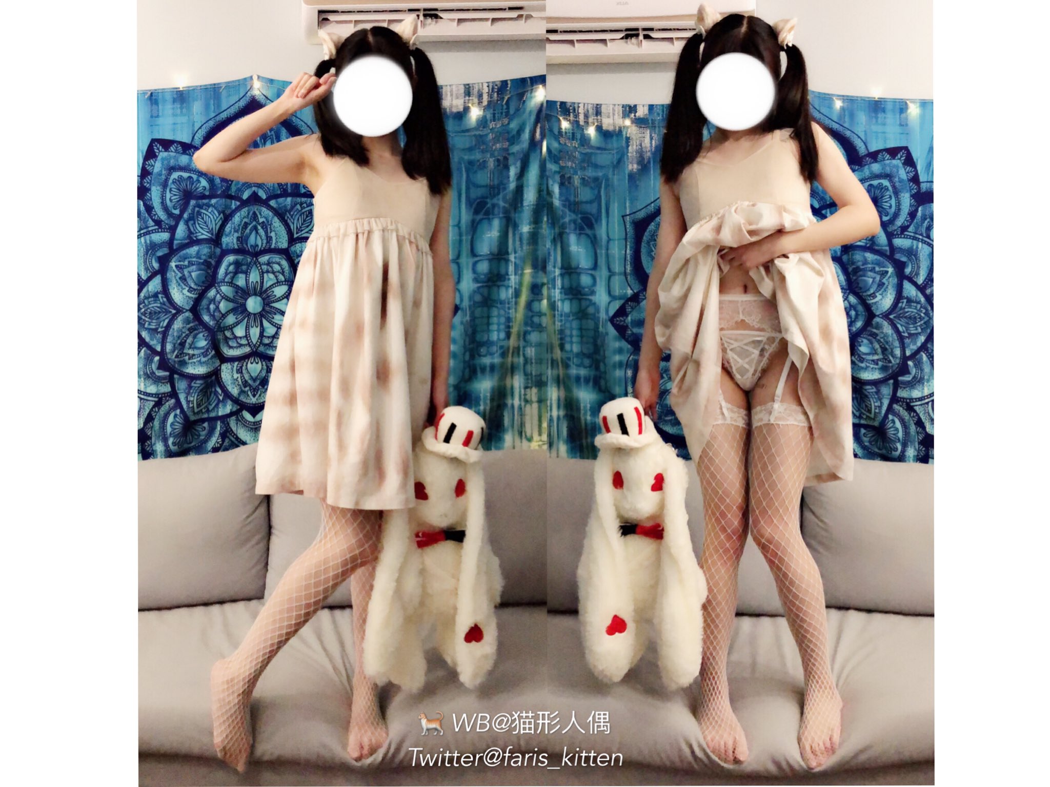 Faris_kitten